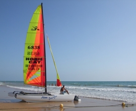 روتا