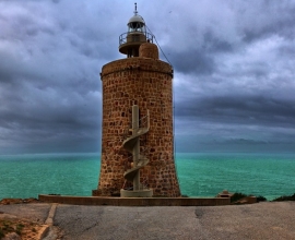 زهرة