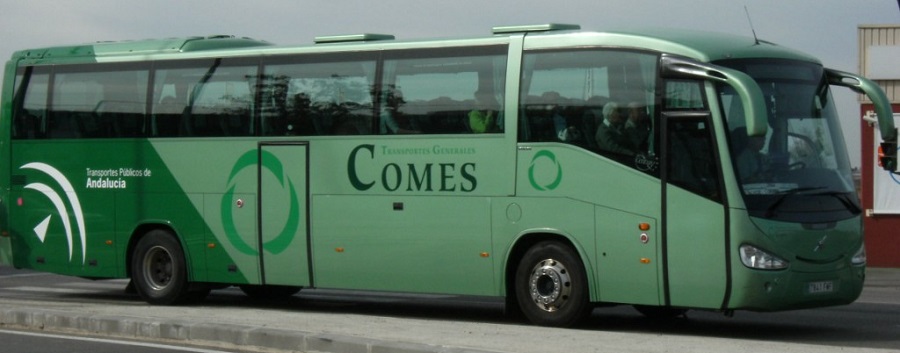BUS