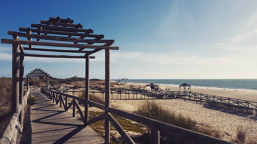PLAYA DE CAMARÓN / LA LAGUNA