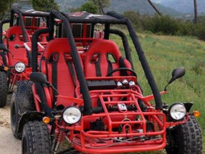 ER CHIPI BUGGIES