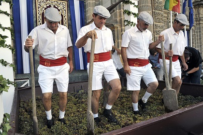 عطلات خمر