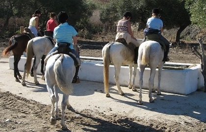 الصنوبر Y MAR HYPIC CENTER في كونيل