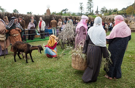 بيلين فيفينتي دي بلايو